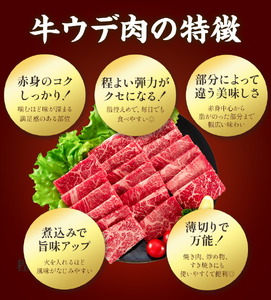 焼肉用 モモ・ウデ 合計800g 黒毛和牛 カット済み 有限会社中田精肉店舗 《45日以内に出荷予定(土日祝除く)》 熊本県 菊池市 お肉 和牛 焼き肉 キャンプ バーベキュー 熊本県産 九州産 国産