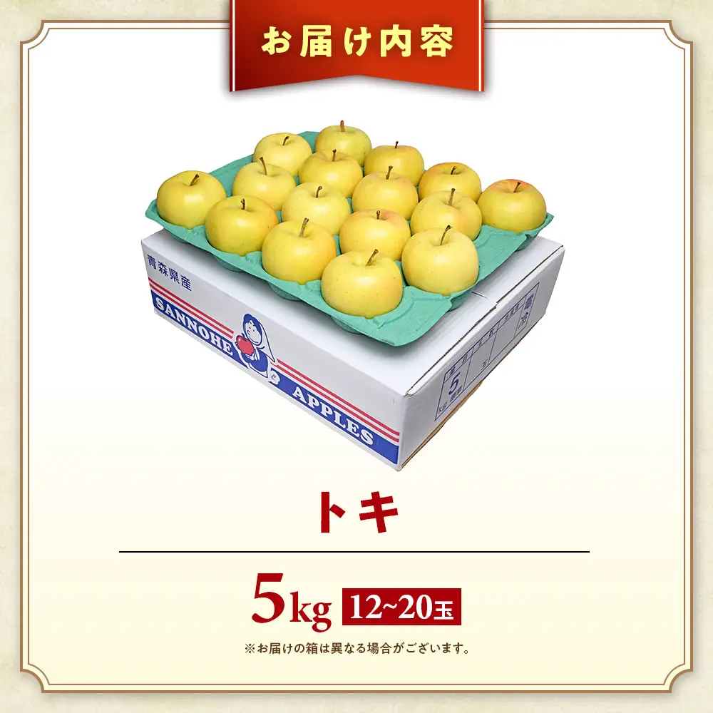 青森県産りんご トキ 約5kg りんご 9月下旬～
