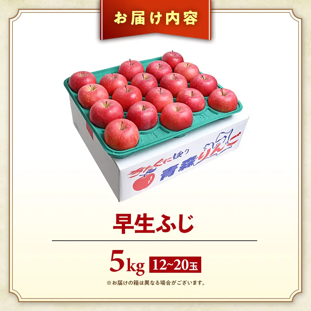 青森県産りんご 早生ふじ 約5kg りんご 9月下旬～