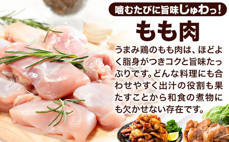 鶏肉 もも肉合計3.1kg  小分け 若鶏 鶏肉