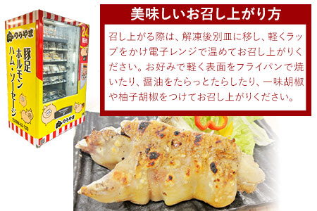 豚足 炭火焼き ぷるぷる豚足10本（2本入×5本）《60日以内に出荷予定(土日祝除く)》