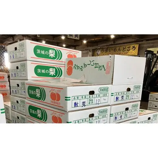 【 2026年8月下旬発送開始 】 茨城県産 梨 豊水 （約 5kg ） 10～14玉