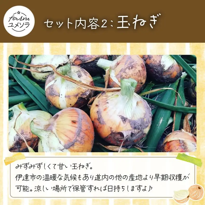 ◆2026年7月から順次出荷◆ farmユメソラ 大玉トマト＆玉ねぎセット 約5kg [famy-003]