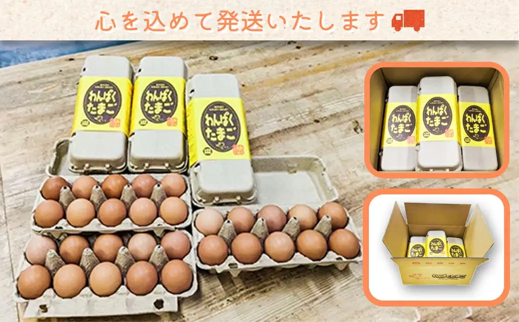 B04-751　太陽の下放し飼いわんぱく卵 【2回お届け】「10個入×3パック」