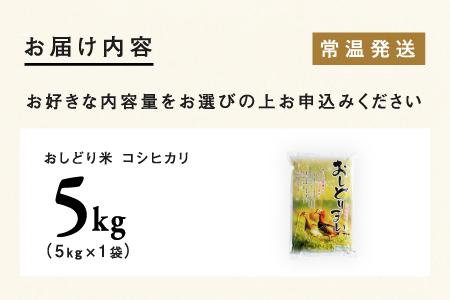 【令和7年産】福井県産 おしどり米 コシヒカリ 5kg