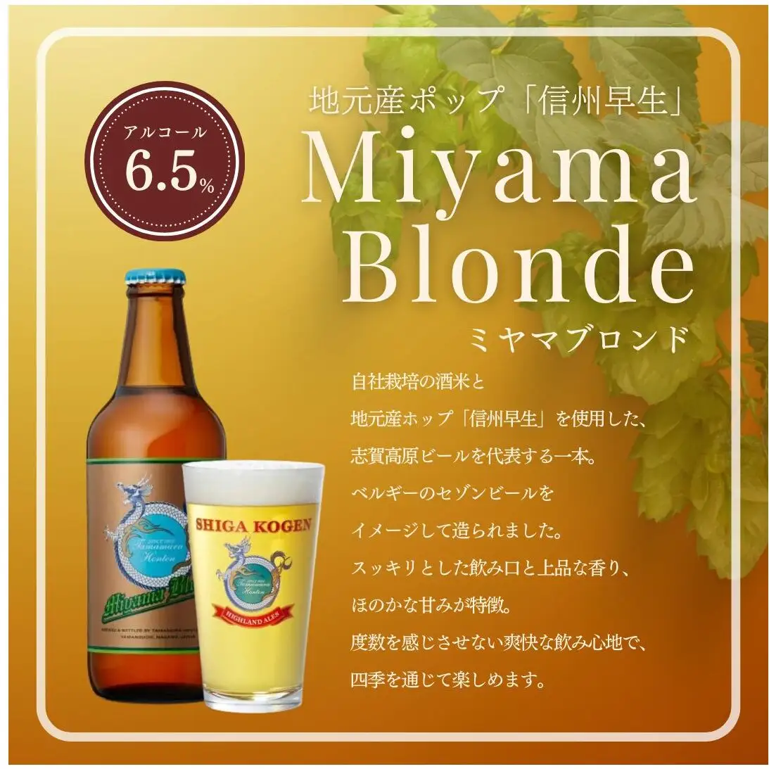 父の日 定期便 3ヶ月 志賀高原ビール6本セット 【 クラフトビール 志賀高原ビール 飲み比べセット 玉村本店 ビール 詰め合わせ セット 地ビール 飲み比べ 黒ビール ipa ペールエール 酒 お酒 長野県 長野 定期 お楽しみ 3回 】