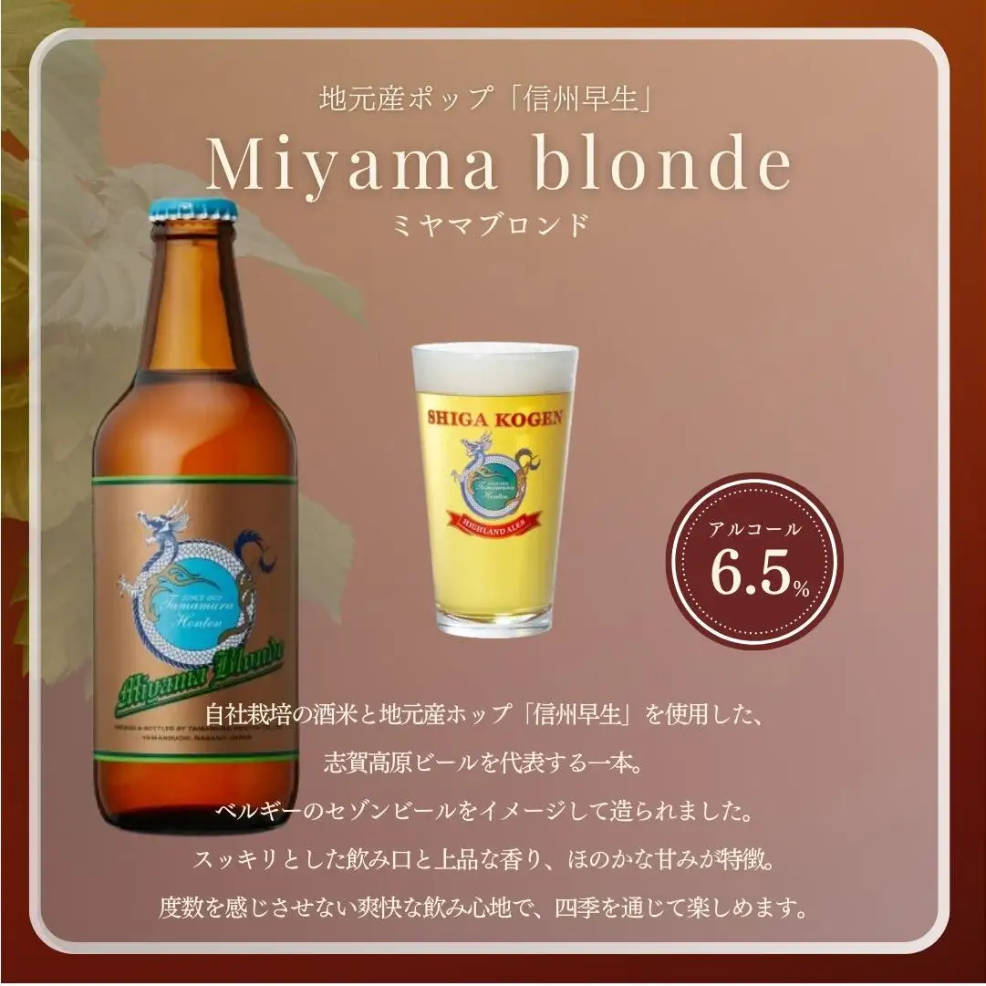父の日 定期便 3ヶ月 志賀高原ビール12本セット 【 クラフトビール 志賀高原ビール 飲み比べセット 玉村本店 ビール 詰め合わせ セット 地ビール 飲み比べ 黒ビール IPA ipa ペールエール 酒 お酒 長野 定期 お楽しみ 3回 】