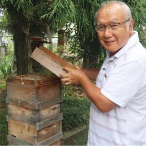 日本蜜蜂のハチミツ100％！はちみつ（1本）  高級 自然食品 無添加 ニホンミツバチ