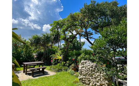 ＜songbird cafe＞シナモンロール９個セット（フロスティング付き） ☆ スイーツ 沖縄 フロスティング付き はちみつ使用 小麦粉使用 バター使用 ナッツ使用 レモンクリームチーズ 卵使用 読谷村 お試し 手作り 人気商品 冷凍商品