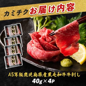 A5等級鹿児島県産黒毛和牛 牛刺し４人前 カミチク IB112-014 牛肉 牛肉 