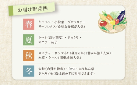 野菜 詰め合わせ よしむら農園 オーガニック おまかせ セット 一人暮らし おすすめ 野菜炒め 無添加 旬 香川県 安全 安心 有機栽培 JAS 栄養 贅沢 国産 大容量 人気 新鮮 今が旬 