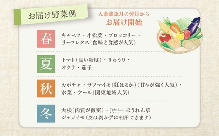 定期便 2回 オーガニックおまかせ野菜セット 野菜 定期便