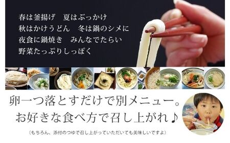 讃岐うどん ゆで麺 30人前 出汁付き うどん