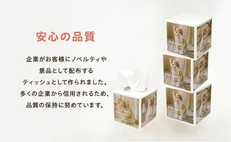 キューブ型 ティッシュ 14箱 ティッシュペーパー 日用品 日用品