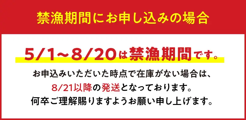 【漁師直送】活き〆 冷凍 天然伊勢海老 1kg（3～4尾） W005-001u 海老 エビ 海鮮 魚介