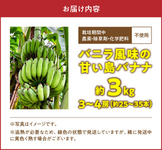 ■ 栽培期間中 農薬 ・ 除草剤 ・ 化学肥料不使用 ！ バニラ風味 の 甘い 島バナナ 3kg 【2026年4月上旬～2026年11月下旬お届け】 W043-001u 期間限定 果物 バナナ
