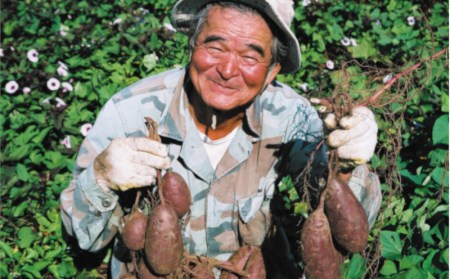 ＜御菓子御殿＞いもいもタルトとオススメお菓子６点セット