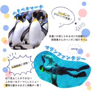 【下田海中水族館】ペア入場券 [水族館 イルカ]