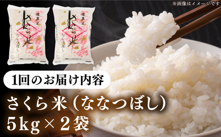 【全3回定期便】【令和7年産】 ななつぼし さくら米 10kg 3カ月 連続 毎月 お米 白米 ななつぼし 特A 一等米 北海道 [AXAB032]