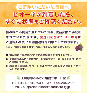 【山梨県山梨市産】ピオーネ 約2kg 種なしピオーネ ぶどう