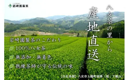 【ギフト対応】大容量・高品質【蘭字デザイン茶缶】上級煎茶２種400g入＜岩崎園製茶＞　075-029