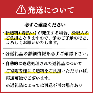 ぶどう ニューベリー A【先行予約】【2026年8月下旬から発送】1.5㎏｜ぶどう RYE