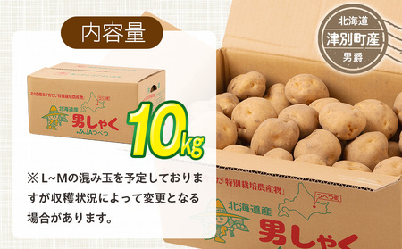 【R8年産先行受付 じゃがいも 10kg 特別栽培（男爵） | ジャガイモ 芋 男爵 馬鈴薯 大容量 新鮮 野菜 煮物 カレー シチュー ポテト 保存 特産 産地直送 北海道 津別町 送料無料