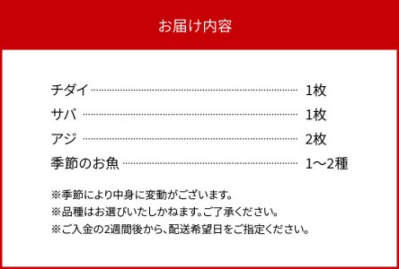 干物セットA N014-YZA582