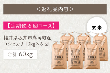 【先行予約】【令和8年産・新米】【6ヶ月定期便】 コシヒカリ10kg×6回　合計60kg（玄米）【2026年10月より順次発送予定】 [L-11304_02]