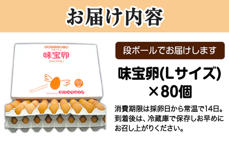 朝獲れ卵 味宝卵 (80個) 卵 Lサイズ 鶏卵《90日以内に出荷予定(土日祝除く)》野上養鶏場