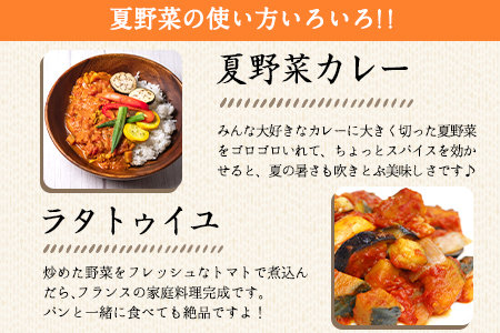夏 野菜セット 約5kg 花田農園