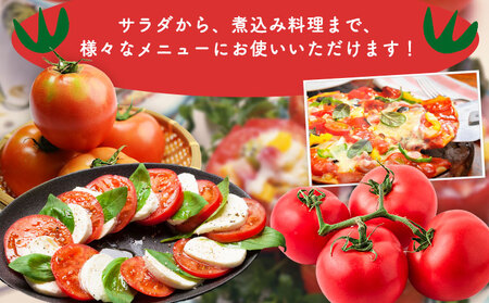 トマト とまと 2種の詰め合わせ 約4kg 花田農園