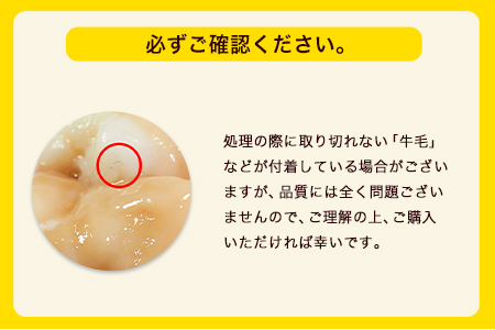 特撰博多もつ鍋 【あごだし味噌仕立て】 4～5人前 500g 独楽 送料無料 《30日以内に出荷予定(土日祝除く)》