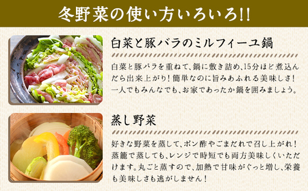 冬 野菜セット 約5kg 花田農園