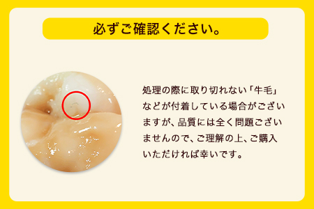 特撰 博多もつ鍋 食べ比べ あごだし味噌仕立てとまろやか醤油仕立て 各2～3人前 600g 独楽 国産 送料無料 《30日以内に出荷予定(土日祝除く)》