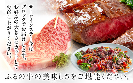 ふるの牛（黒毛和牛）特選サーロインブロック 1.3kg ゲランド塩付き A5 有限会社ふるの《30日以内に出荷予定(土日祝除く)》