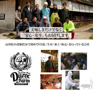 【農林水産大臣賞・受賞記念】◆四万十町産◆ブランド豚の3種ブロック詰め合わせ （3kgセット）豚肉 冷凍 四万十 高知 ／Adf-A68
