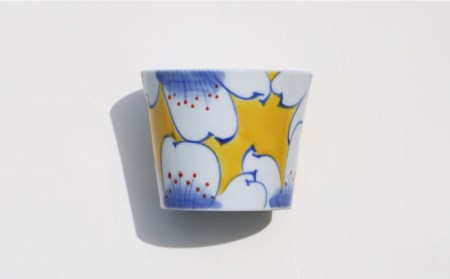 【波佐見焼】カラフル そばちょこ 5点セット 食器 皿 【協立陶器】 [TC40] 波佐見焼