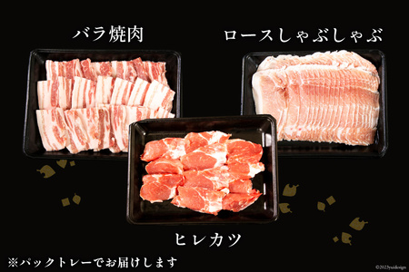 豚肉 宮崎県産 豚のトンカツ・焼肉・しゃぶしゃぶセット 計1.4kg [ミヤチク 宮崎県 日向市 452061589]