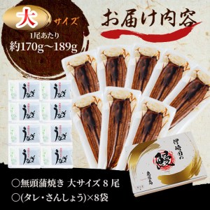 鹿児島県産 伊崎田のうなぎ蒲焼 大＜170g以上＞× 8尾(計1.3kg以上) うなぎ 鰻 ウナギ 国産 鹿児島県産 九州産 蒲焼き 冷凍 うな重 ひつまぶし e4-005