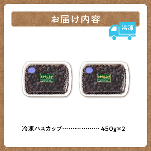【2026年発送先行予約！】冷凍ハスカップ900g 北海道清水町（ハスカップ 450g×2）_S009-0016