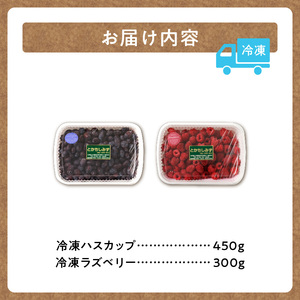 【2026年発送先行予約！】とかちしみずフルーツガーデンのハスカップ&ラズベリーセット【 計750g 詰め合わせ 果物 フランボワーズ 木苺 生 ハスカップ ラズベリー ハスカップ 果物 フルーツ ジャム 冷凍果物 ハスカップ 冷凍ハスカップ 冷凍 お取り寄せ 北海道 清水町  】_S009-0017