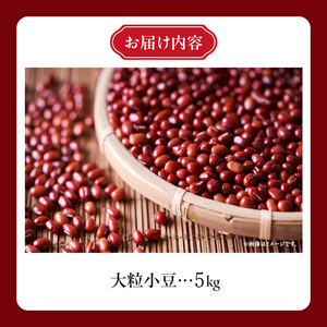 MORITABEANS プレミア小豆 5kg 新豆 2024年産 採れたて 収穫したての小豆をお届けします【 あんこ つぶあん こしあん 豆 あずき 十勝産小豆 A-Netファーム十勝 プレミアム 大粒 豆類 和菓子 タンニン ポリフェノール プレミア小豆 料理 お菓子 製菓 十勝産 北海道 北海道産 国産 十勝 スイーツ ぜんざい おしるこ おはぎ 草餅 もち おもち 餅 甘納豆 きんつば 羊羹 大福 どら焼き 最中 あんみつ 渋み少なめ おすすめ 人気 ランキング ふるさと納税 お取り寄せ 】_S001-0003