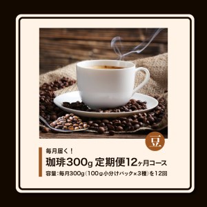 コーヒー300g 定期便12ヶ月コース 豆コース_定期便 12ヶ月 コーヒー 豆 各 100g 3種 合計 300g 小分け パック 飲み比べ 毎月 世界の生産地別のコーヒーが届く 産地 銘柄 発送時期によりランダムでお届け コーヒーブレイク コーヒータイム 飲み物 飲料類 お取り寄せ 送料無料 〔Ec110-B〕