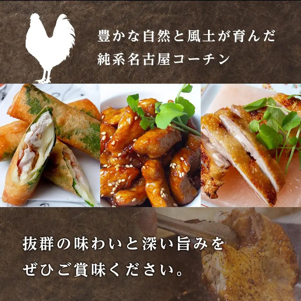 純系名古屋コーチン　豪華生肉セット