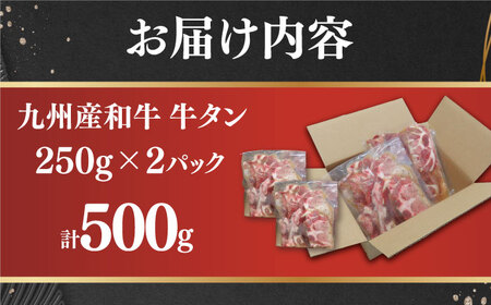 【塩だれ牛タン】九州産和牛の牛タン 500g（約250g×2パック）[EAX084] 冷凍 小分け