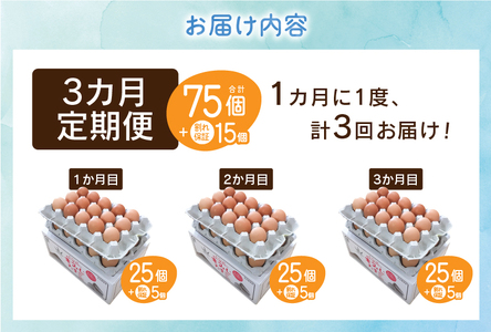 【3ヶ月定期便】”忍野の卵”コクの赤玉30個×3回 ※割れ保証含む 卵
