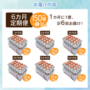 【6ヶ月定期便】富士山の麓で育った産地直送 ”忍野の卵”※卵25個+割れ保証5個　計180個
