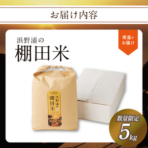 浜野浦の棚田米 5kg ／コシヒカリ 棚田米【B123】