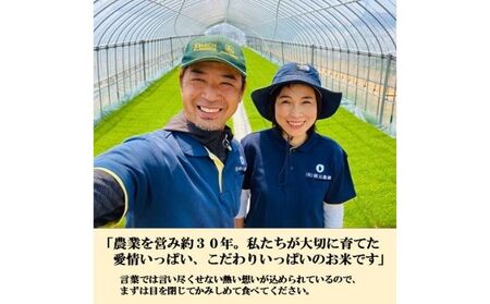【日本農業賞大賞】【定期便5カ月連続】特別栽培米コシヒカリ3kg精白米 お米 ライス ご飯 主食 おにぎり お弁当 石川県産 能美市産 産地直送 5回 
